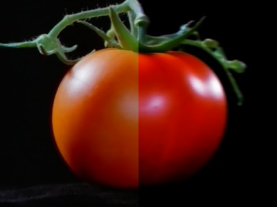 Photo Tone Example