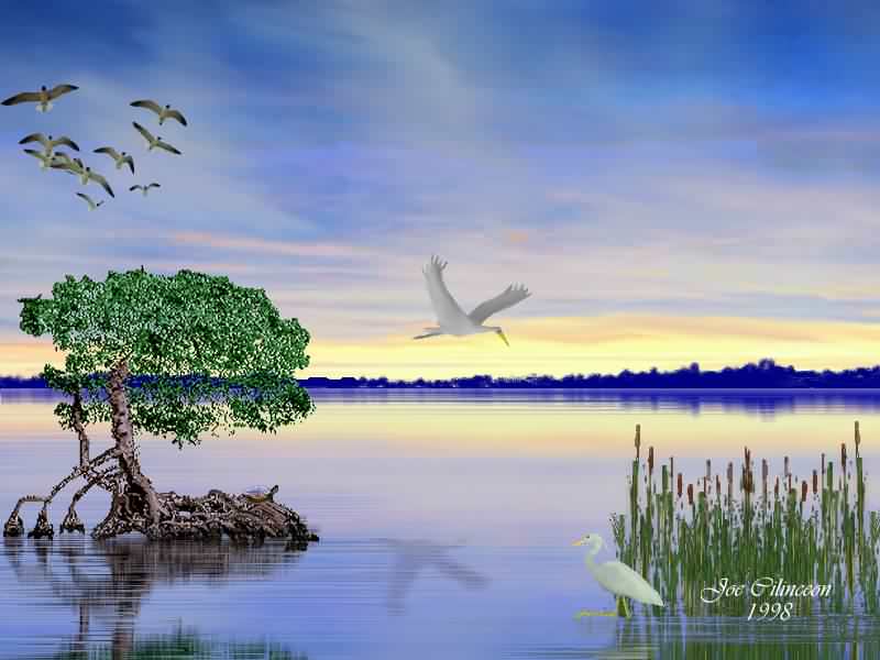 Lake Dawn