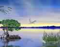 Lake Dawn