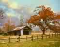 The Farm